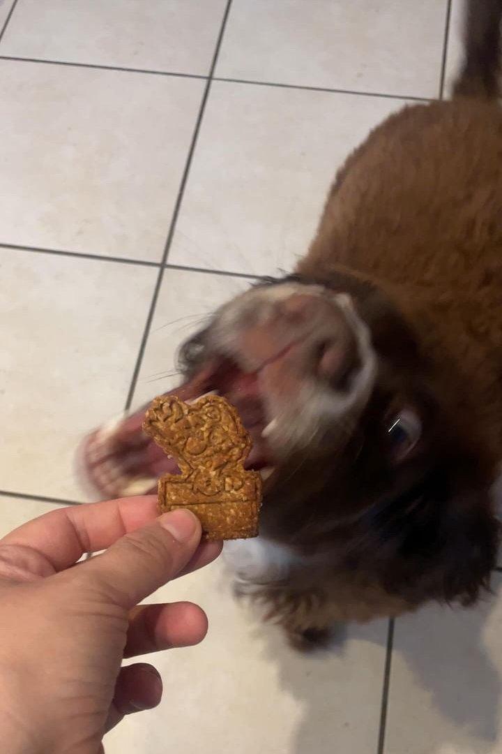 Mario Cookies